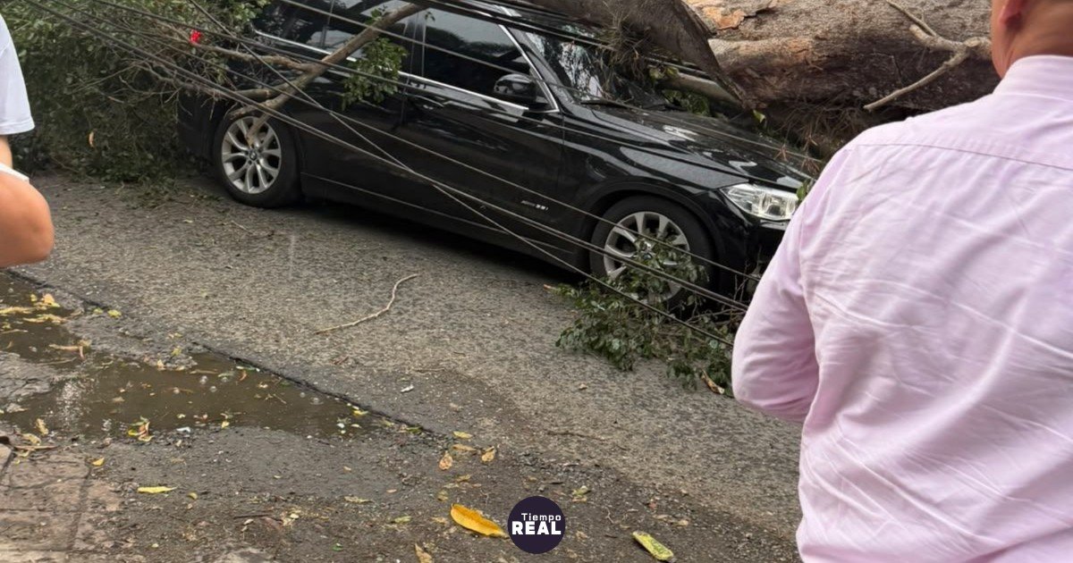 Árbol derriba camioneta de Nicolás Hernández en Cali; su regreso a América sigue sin fecha