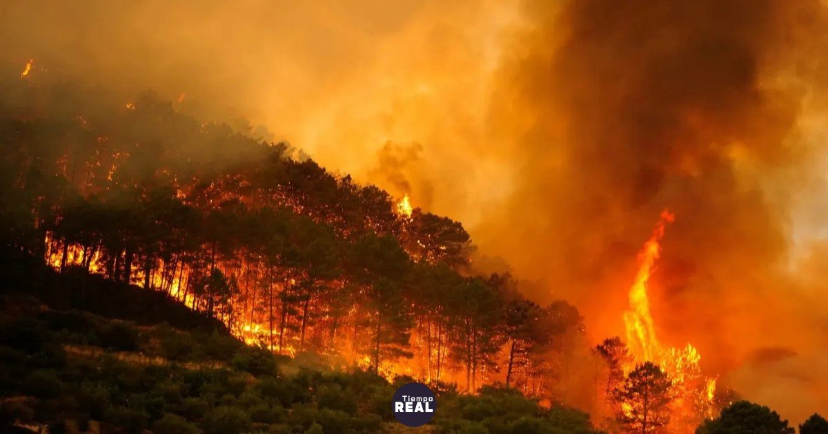 España roza los 300.000 hectáreas quemadas en 2026
