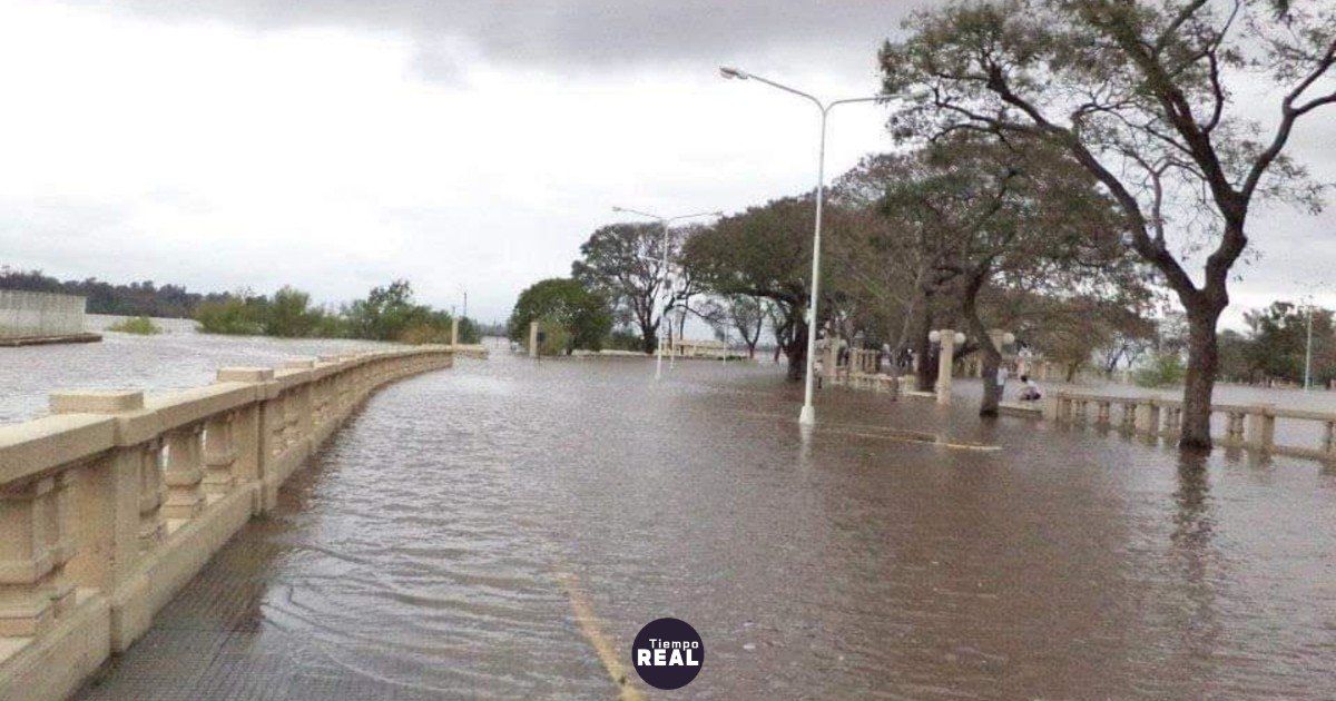 Siete familias evacuadas en Concordia mientras el Uruguay supera la alerta y amenaza a barrios ribereños.