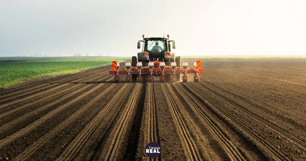 Exportaciones agrícolas podrían superar los US$42 mil millones en 2027