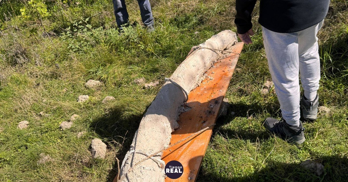 Descubren colmillo de mastodonte más grande de Sudamérica