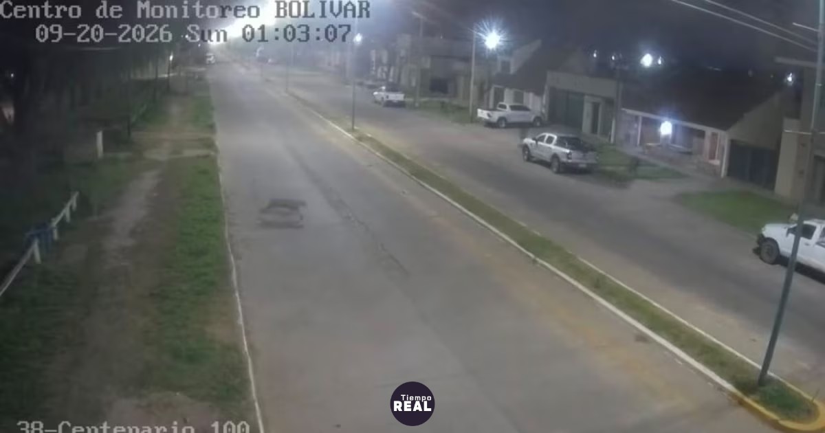 Un puma merodeó el centro de Bolívar en plena madrugada