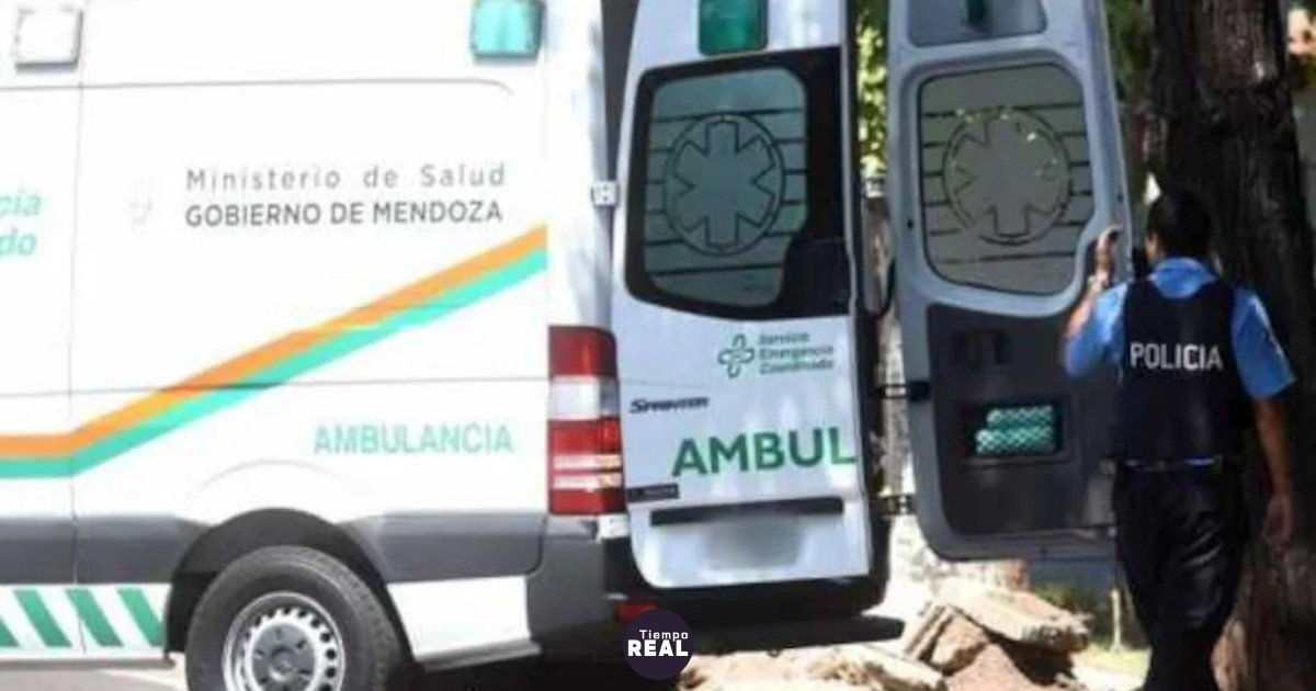 Muere niño de 5 años al caer de camioneta en Junín, Mendoza