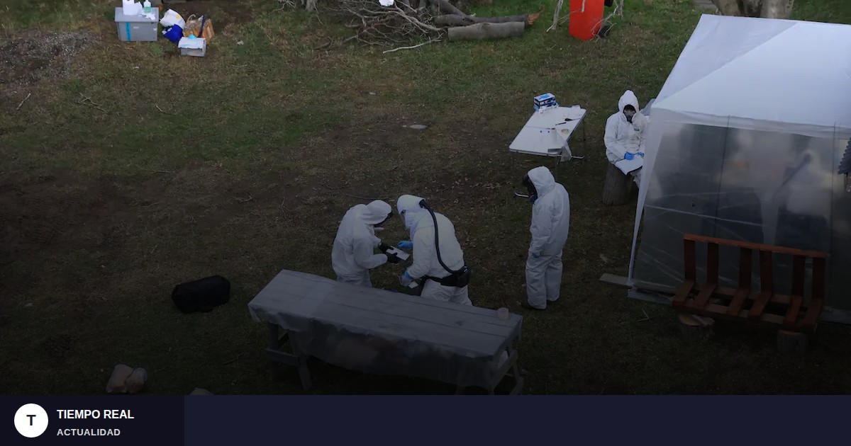 Argentina lidera la respuesta al brote de hantavirus en crucero sudamericano