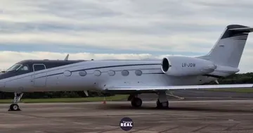 Flavio Bolsonaro escapó a EE. UU. a bordo del Gulfstream de Baires Fly