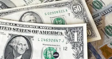 Dólar cripto alcanzó su máximo y seguirá variando