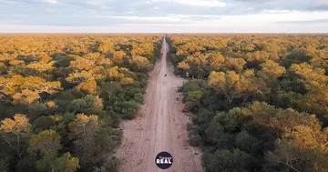 Desmontan 1.800 ha de bosque nativo junto al Parque Loro Hablador