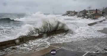 Médico alerta tormenta perfecta de dengue por el Super Niño