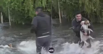 Rescataron a Bartolito en Puerto Vilelas y lo reunirá con su familia