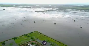 Gobierno declara emergencia agropecuaria por inundaciones en 9 de Julio y Necochea
