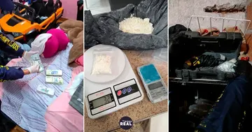 Cocaína bajo la bañera y dólares en peluche en casa de capo