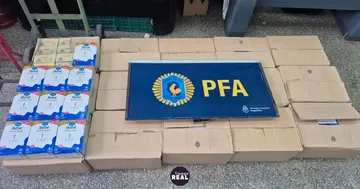 Policía federal incautó 500 envases de leche para bebés con aflatoxina peligrosa