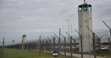 Guardia y interno detenidos por cinco celulares en Bouwer