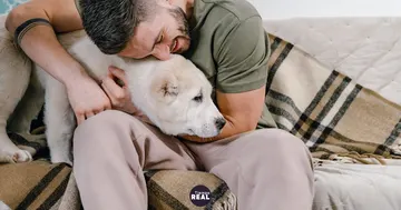 Incidencia humana subió 42% mientras la canina aumentó 76%