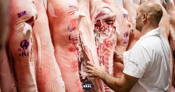 Mientras la carne de cerdo fresca sube 13,4 %, los chacinados caen 9,7 %