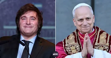 Milei descarta la Casa Rosada y recibe al papa al pie del avión