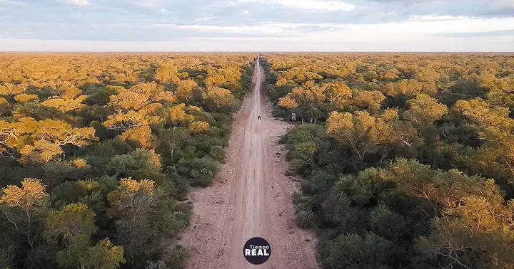 Desmontan 1.800 ha de bosque nativo junto al Parque Loro Hablador