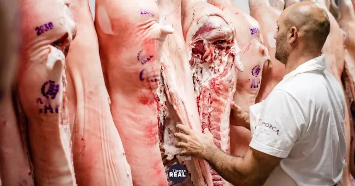 Mientras la carne de cerdo fresca sube 13,4 %, los chacinados caen 9,7 %