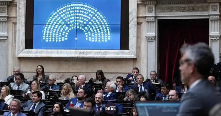 La iniciativa libertaria para fondos de discapacidad avanza con 237 votos